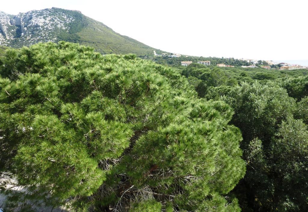 La Bouganville Apartments Cala Gonone Εξωτερικό φωτογραφία