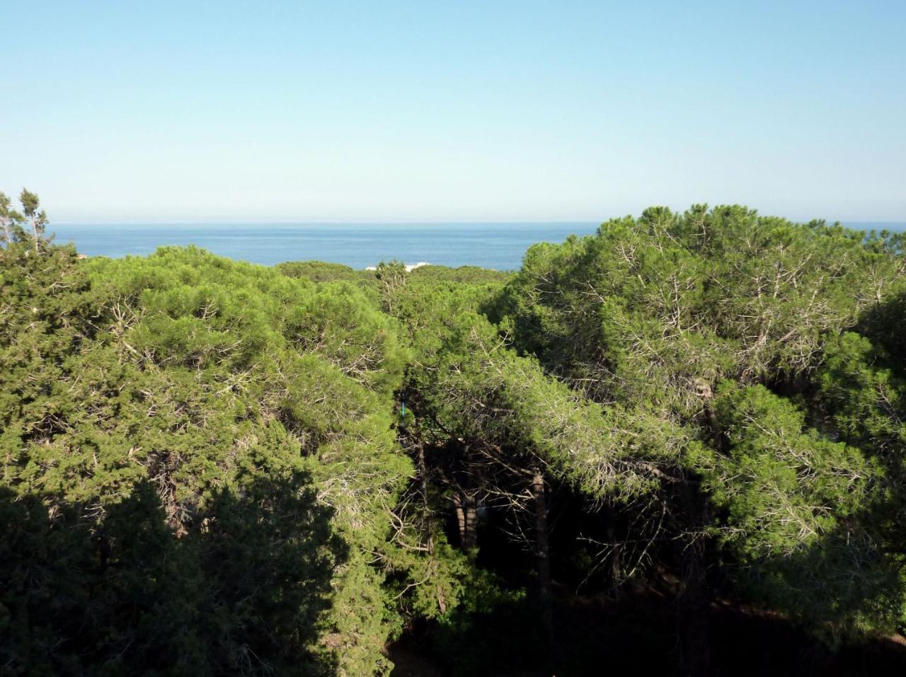 La Bouganville Apartments Cala Gonone Εξωτερικό φωτογραφία